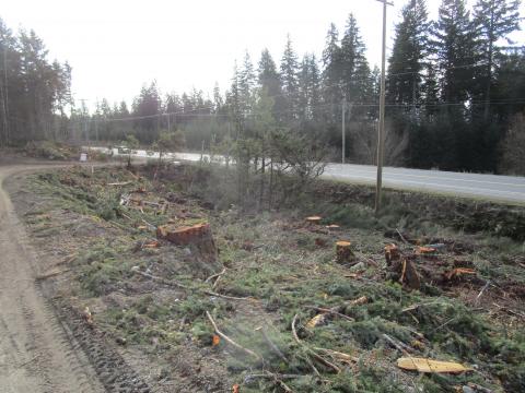 entrance from highway with trees gone. 