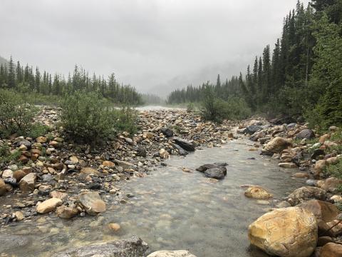 Rainy hike