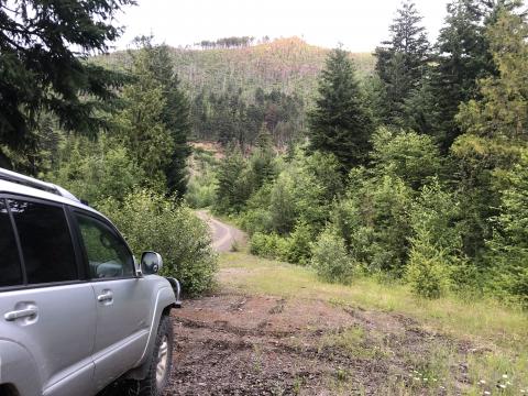 Grizzly country in Lillooet.