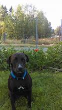 Wayne Penna's picture